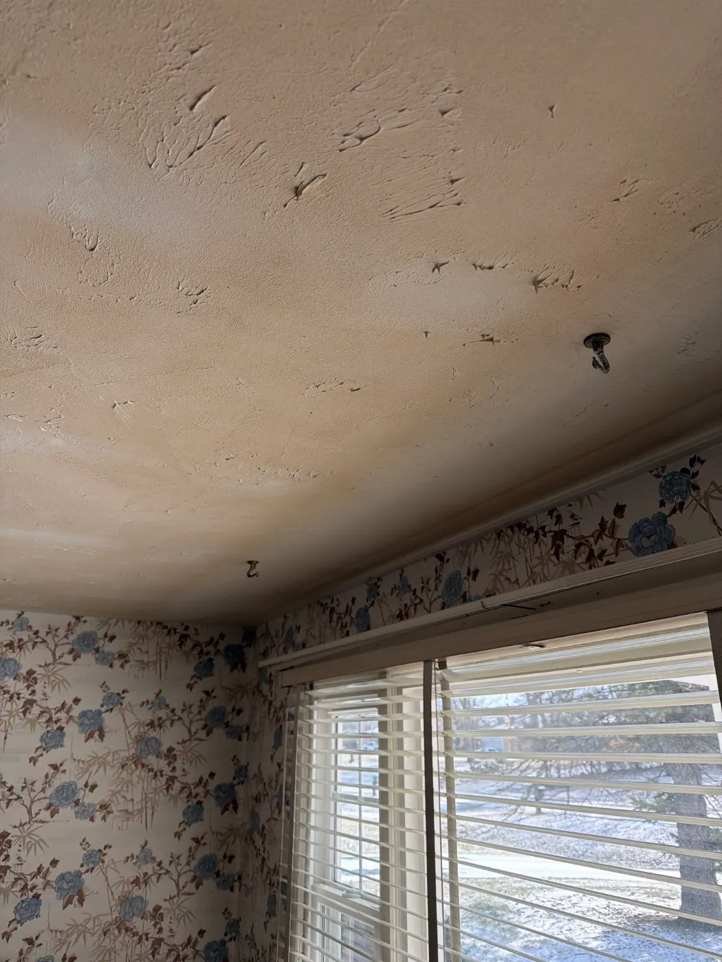 Thermal imaging during water damage assessment in Cool Creek residence